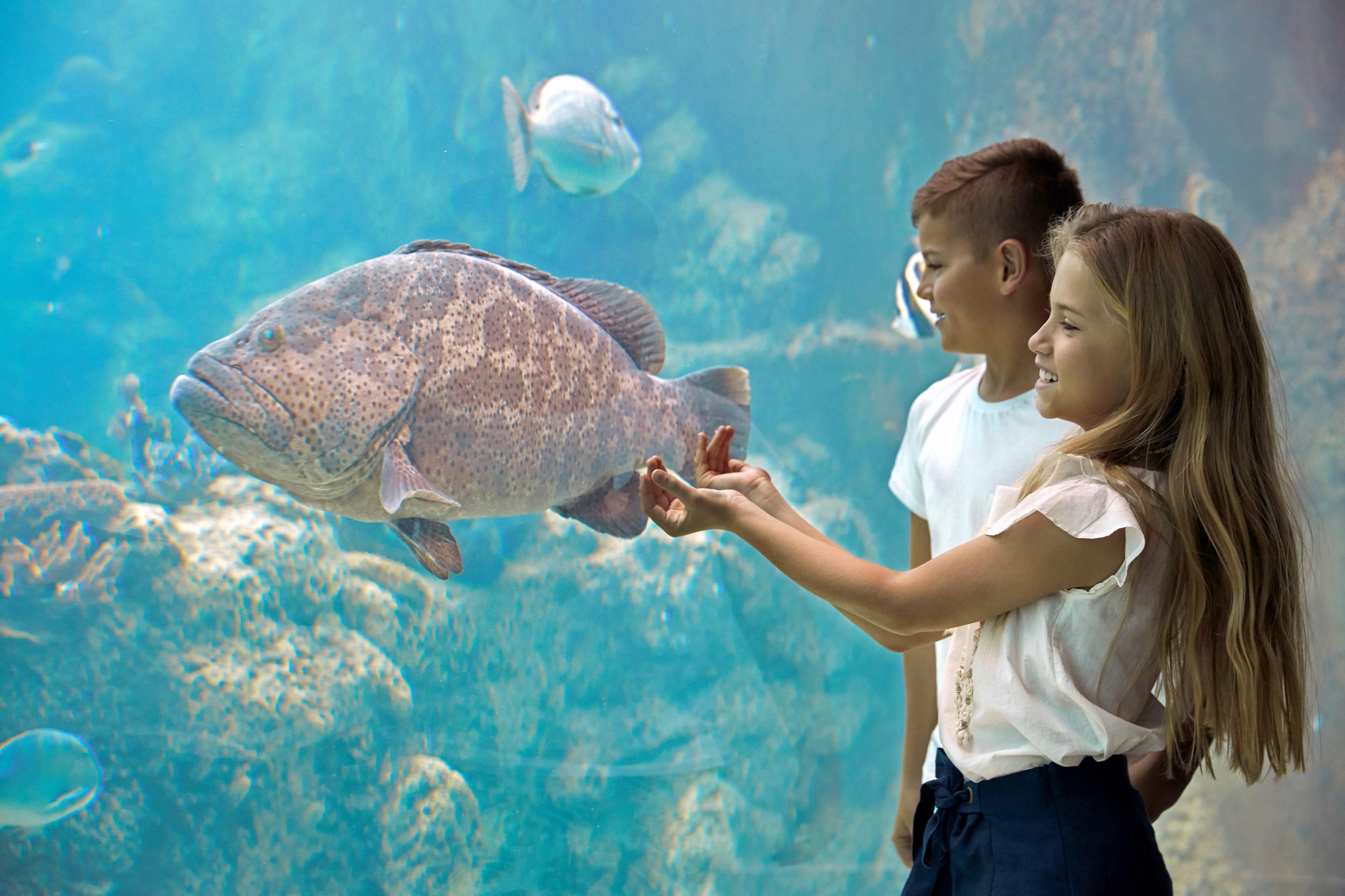 Daydream Island Resort Екстер'єр фото